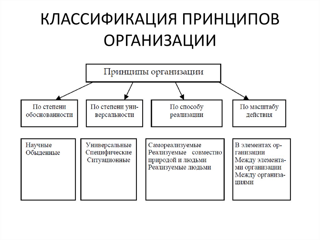 5 классификация. Классификация принципов организации. Классификацию частных принципов управления. Принципы системы управления предприятием. Классифицируйте принципы организации.