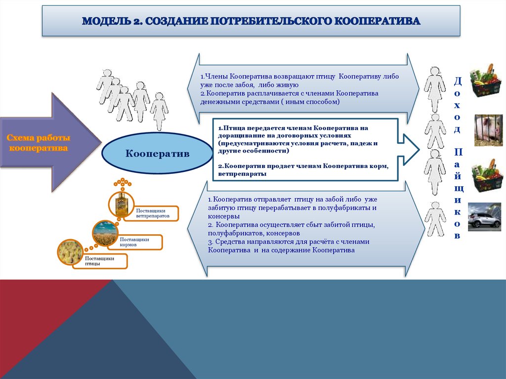 Потребительский кооператив схема