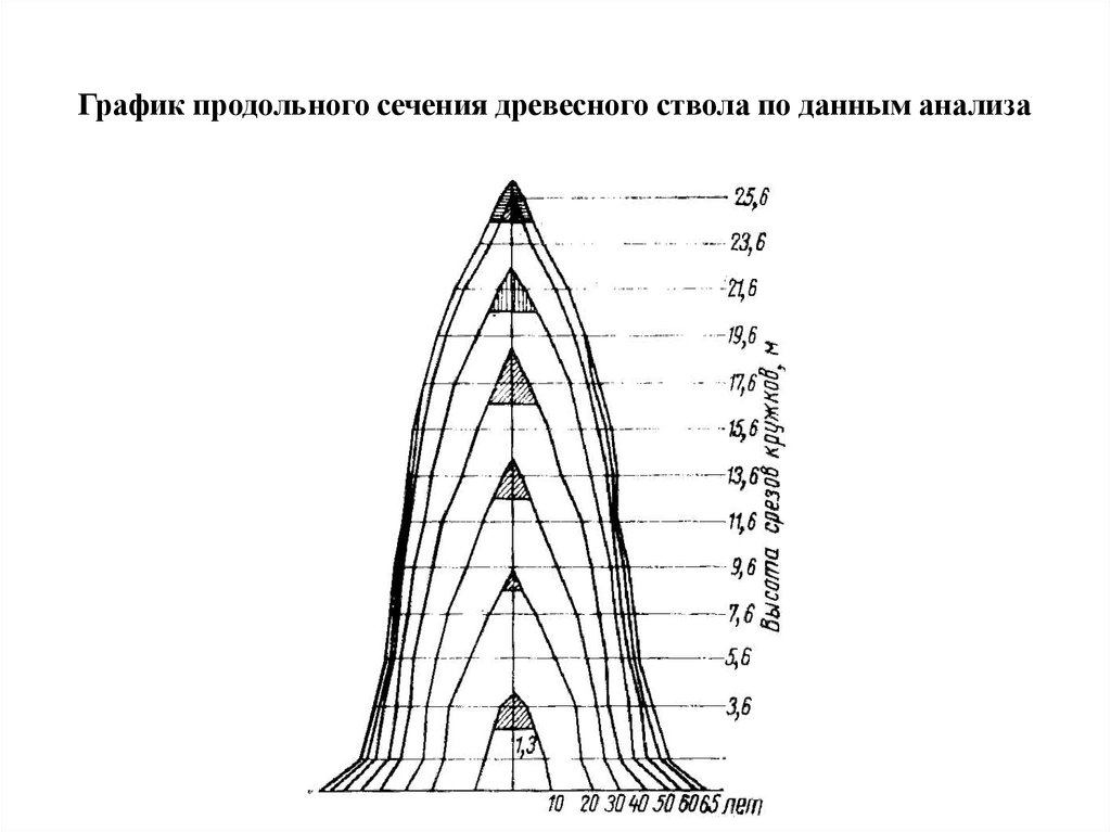 Ход роста. Анализ хода роста древесного ствола. Продольного сечения ствола. Продольное сечение древесного ствола.. Таксационные показатели древесного ствола.