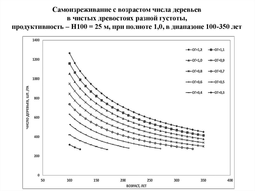 Рост ход. Ход роста древостоев. Самоизреживание древостоя. Самоизреживание популяции это. Самоизреживание у растений.