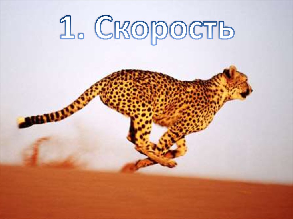 1. Скорость