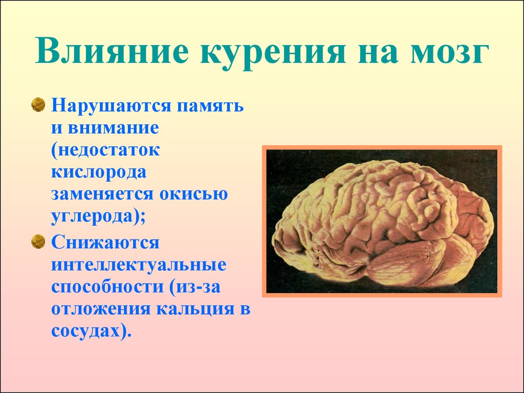 Мозг человека без кислорода. Головной мозг курильщика. Влияние никотина на головной мозг. Сигареты влияют на мозг.