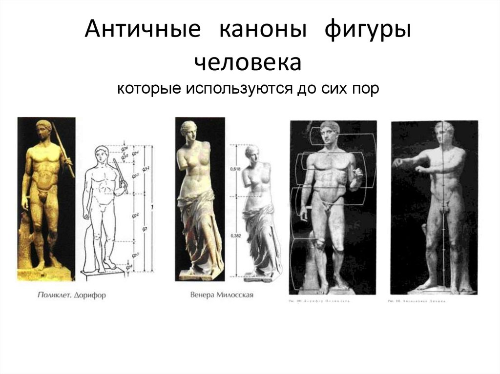 Поликлет произведение которое считается изображением эталонных пропорций человеческого тела