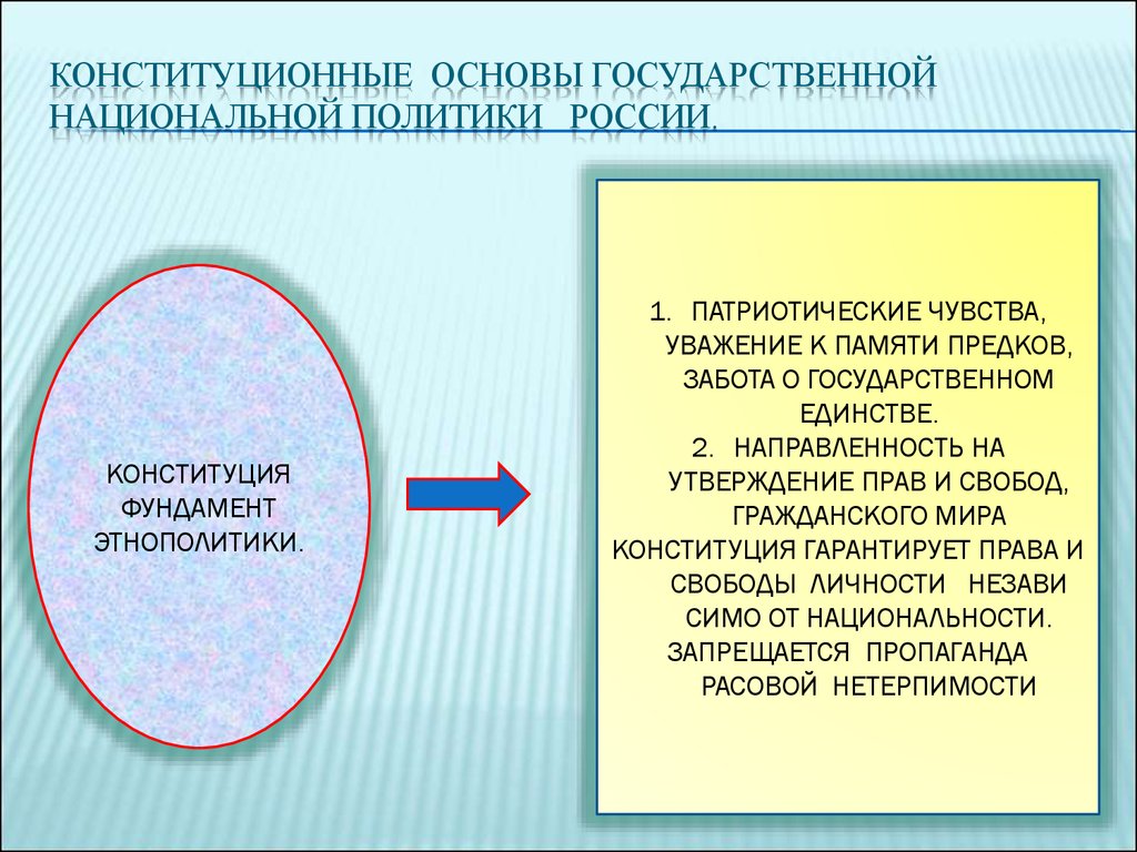 План основы национальной политики в рф план