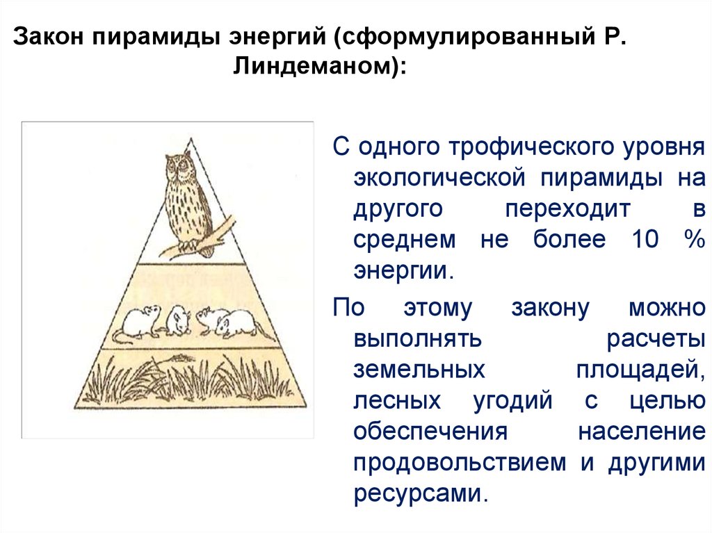 Пирамида править. Закон пирамиды Линдемана. Закон пирамиды энергий (р. Линдеман):. Правило экологической пирамиды р.Линдемана. Пирамида Линдемана экологическая.