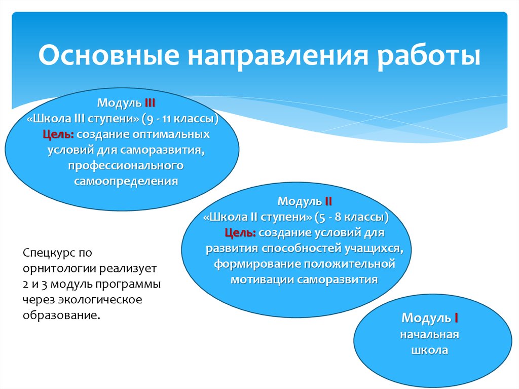 Реализация урока в начальной школе. Система работы с одаренными детьми в условиях реализации ФГОС. Организация работы с одарёнными детьми в условиях реализации ФГОС. Как понять модульная школа что в понятии модульная школа.