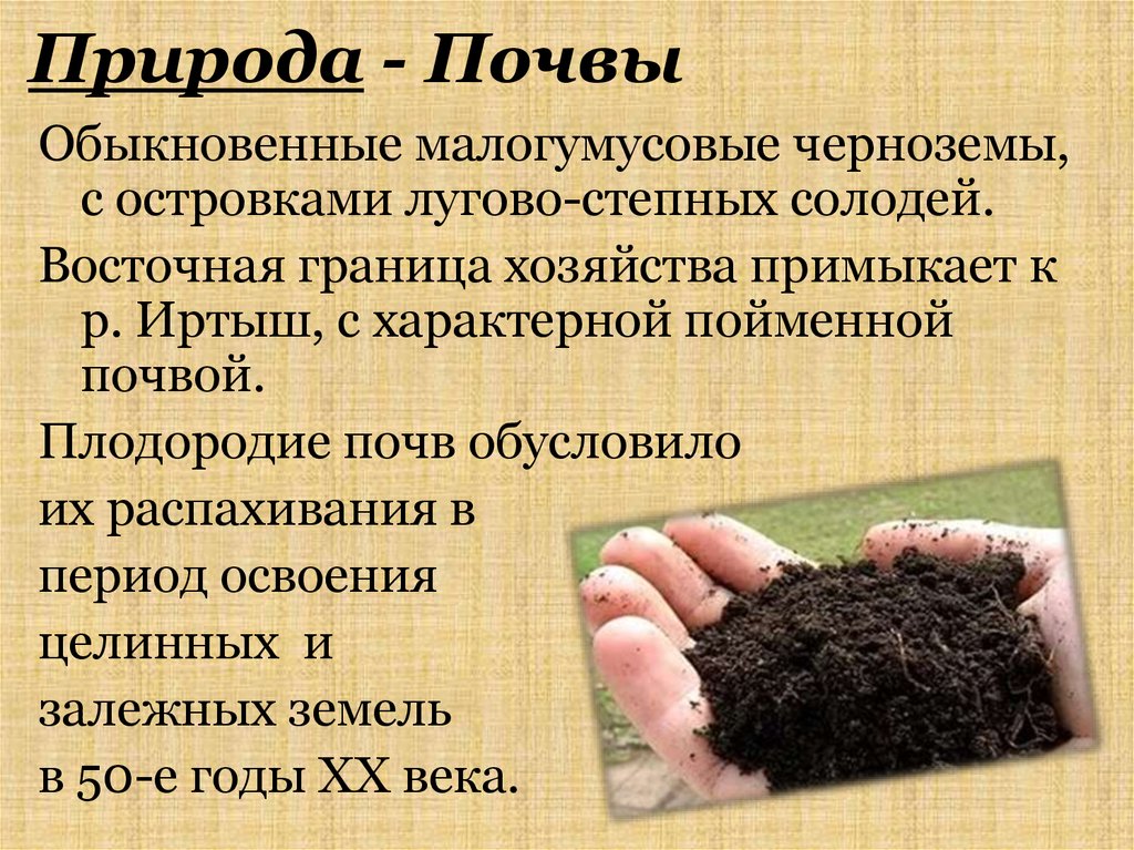 Черноземные плодородие. Природные почвы. Плодородные почвы сообщение. Плодородность почвы. Чернозем.