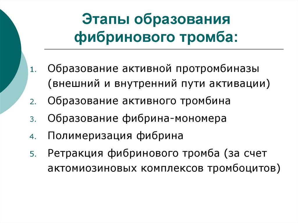 Четыре стадии образования. Этапы образования фибринового сгустка. Этапы образования фибринового сгустка биохимия. Этапы образования фибринового тромба. Этапы формирования фибринового тромба.