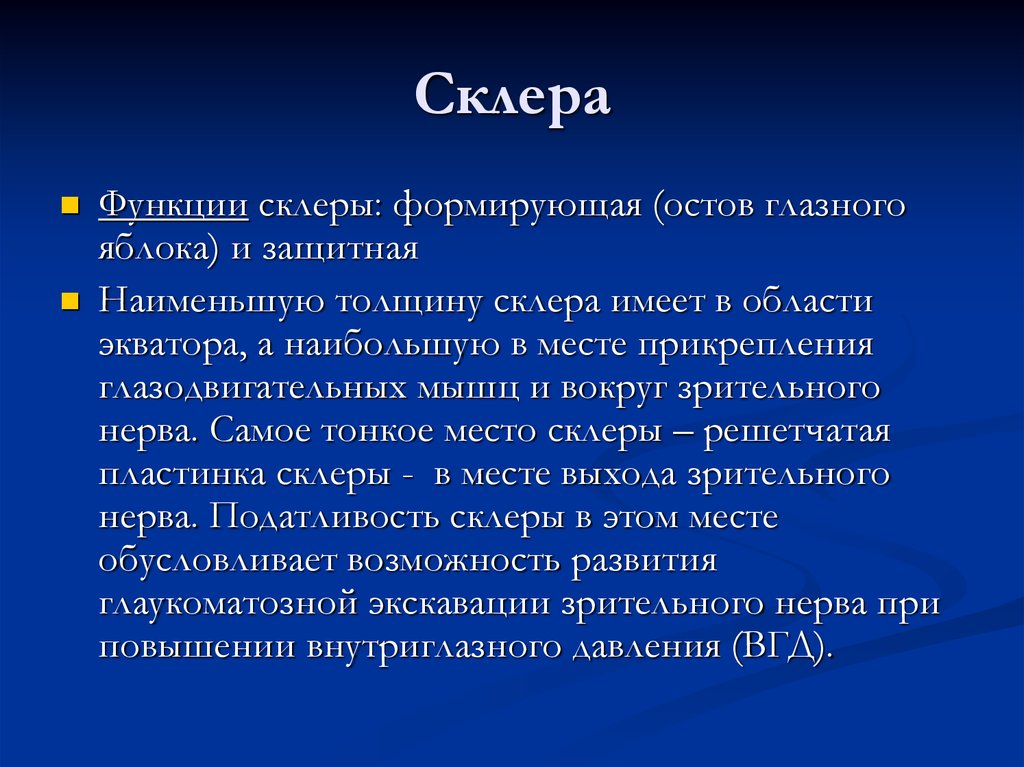 Склера это. Функции склеры. Функции склеры глаза. Функции склеры:функции склеры. Склера строение и функции.