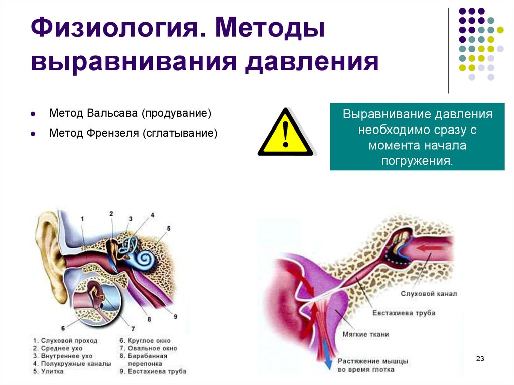 Выравнивание давления в ушах