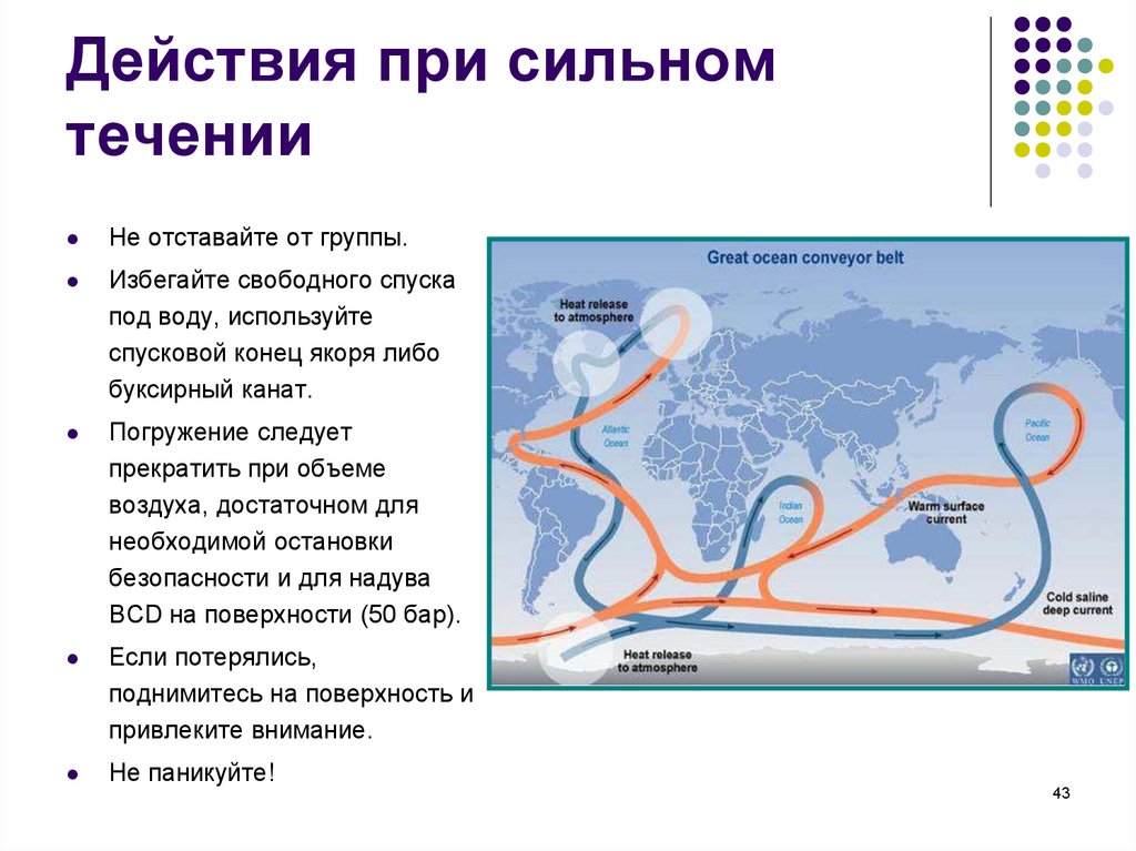 Самое мощное течение