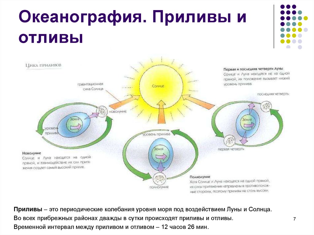 Теория приливов и отливов ученый