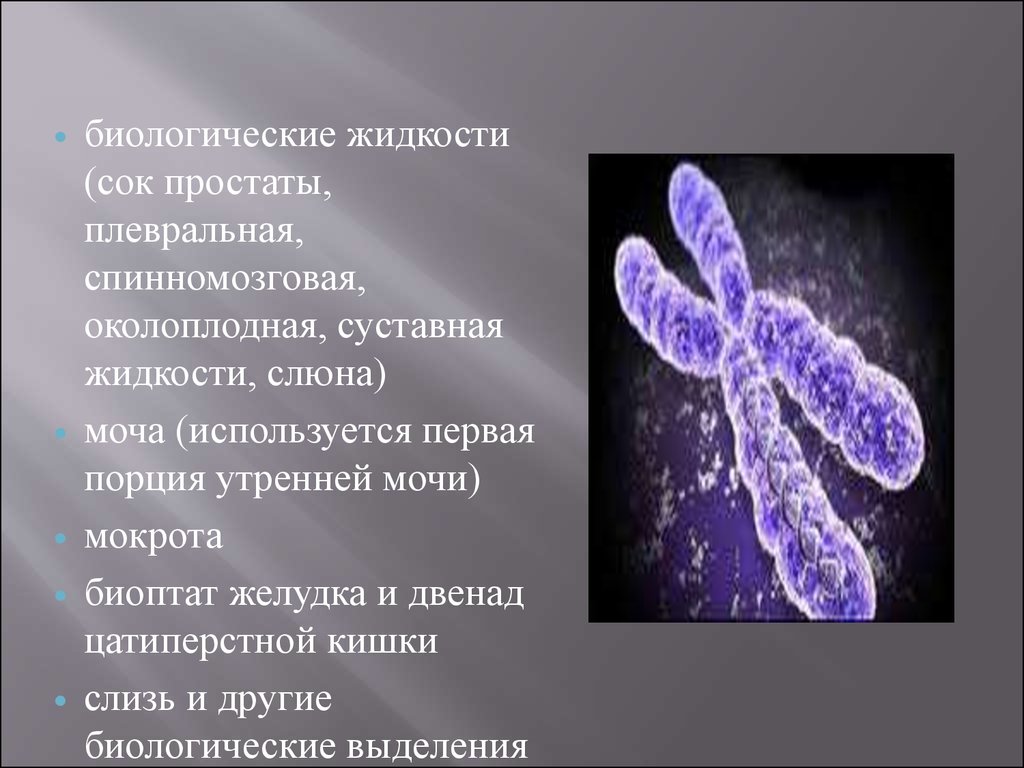 Биологические жидкости это. Биологические жидкости. Человеческие жидкости. Слюна диагностика наследственных заболеваний. Биологическая жидкость это в медицине.