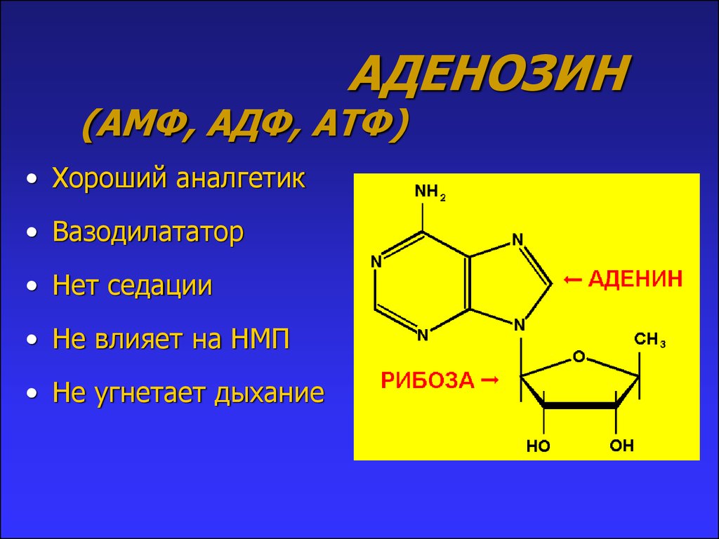 Атф лучшие