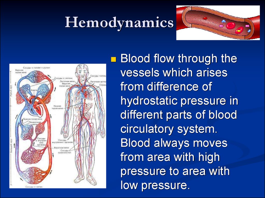 basis-of-hydro-and-hemodynamics