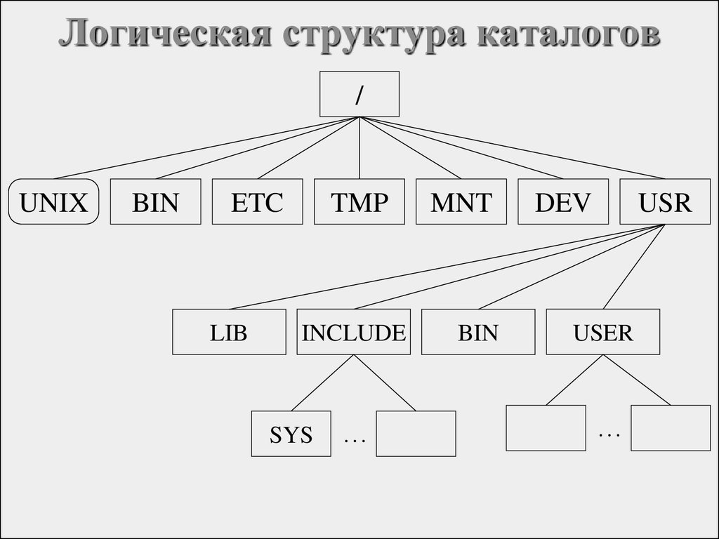 Структура каталога