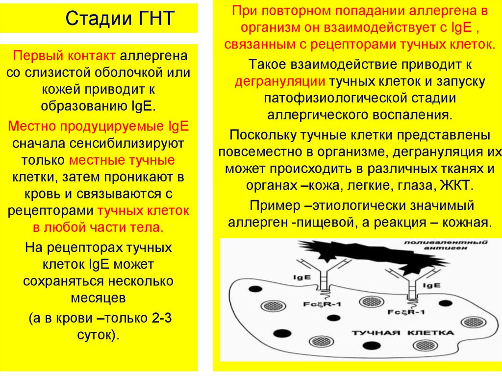 Аллерген контакты