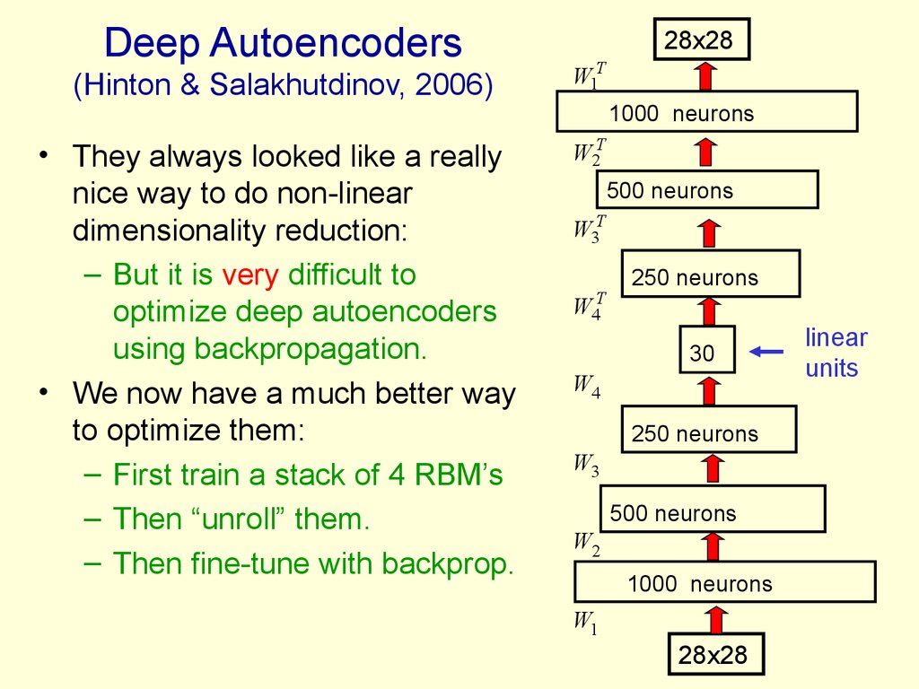 Deep Autoencoders (Hinton & Salakhutdinov, 2006)