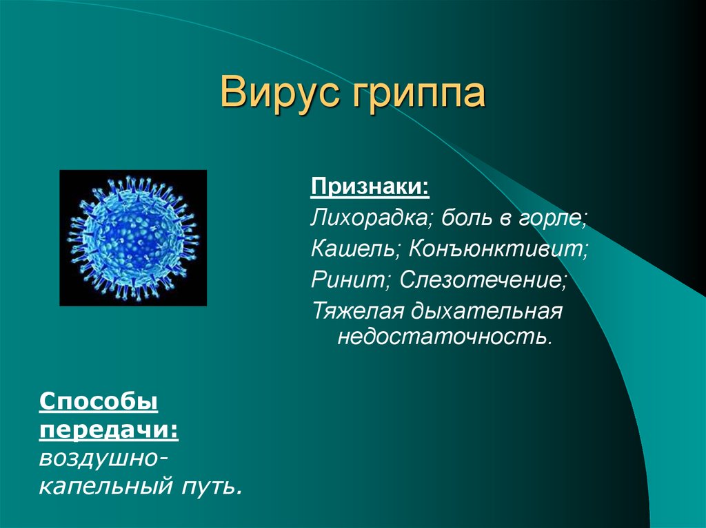Общие признаки вирусов биология 5 класс. Вирус гриппа. Вирус гриппа симптомы. Признаки вируса гриппа. Вирус гриппа вирусы.