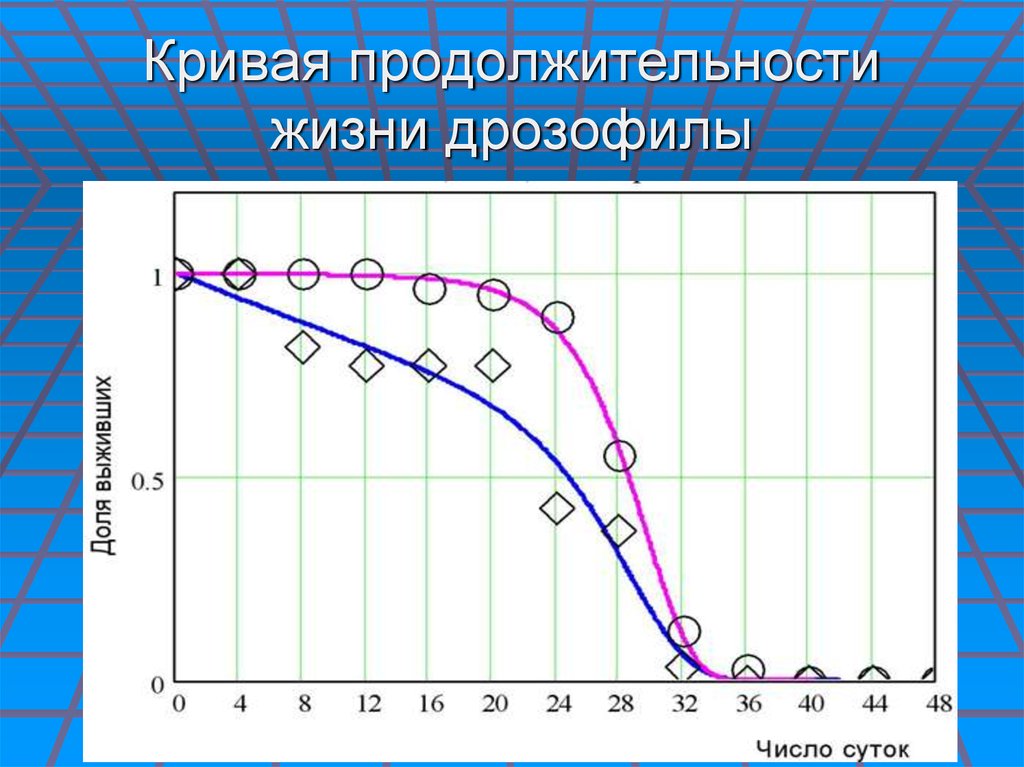 Кривая продолжительности жизни дрозофилы