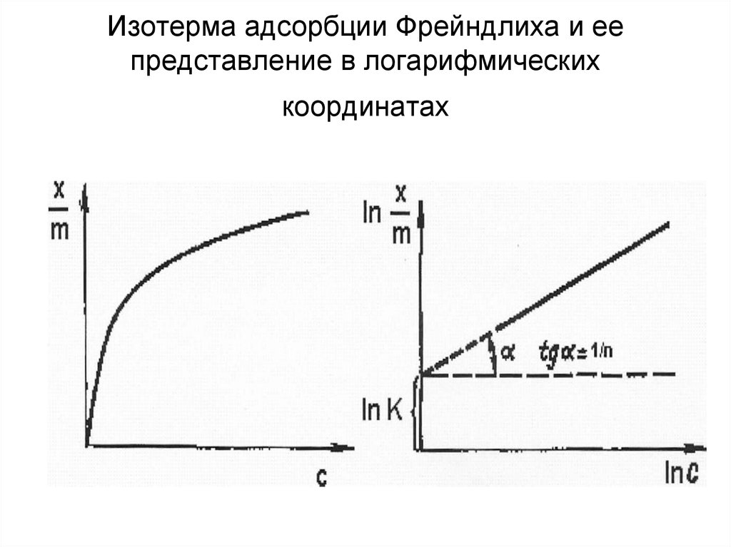 Как построить изотерму адсорбции в excel