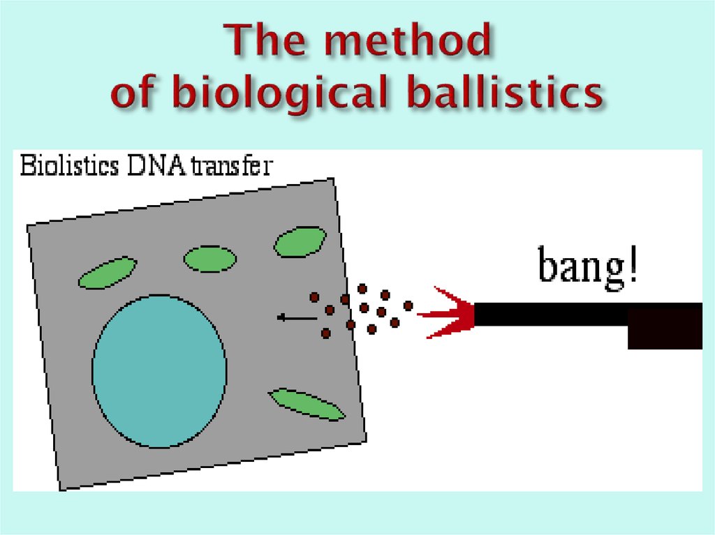 The method of biological ballistics