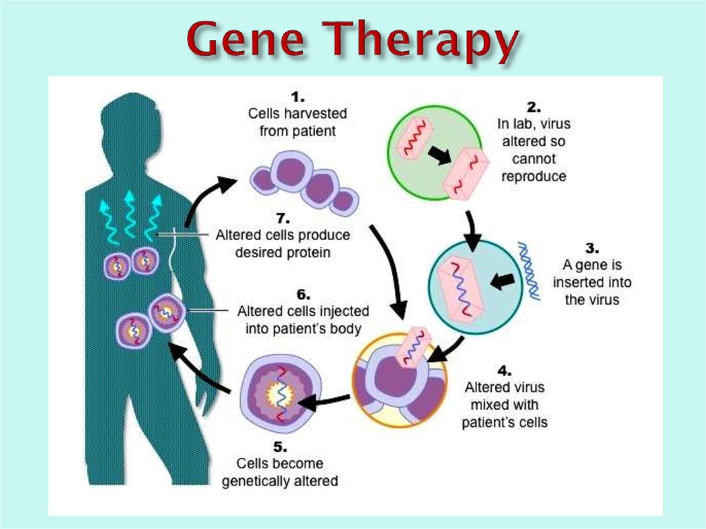 Генная терапия картинки