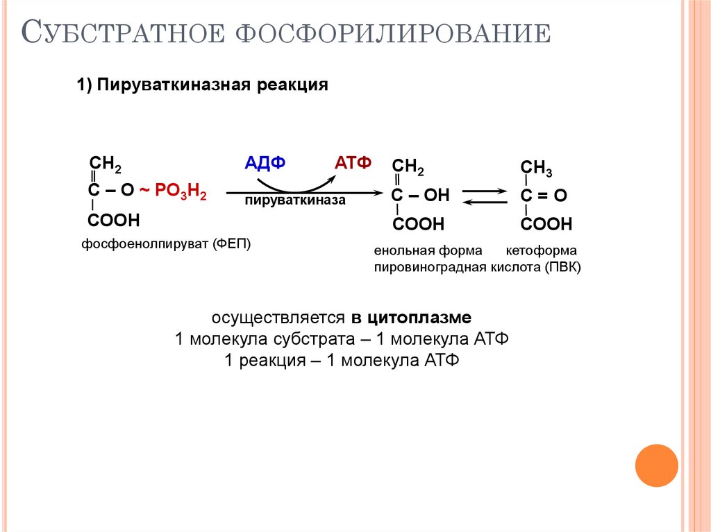 На каких этапах происходит образование атф. Субстратное фосфорилирование биохимия. Субстратное фосфорилирование АДФ. Реакцию субстратного фосфорилирования катализирует:. Субстратное фосфорилирование в гликолизе.