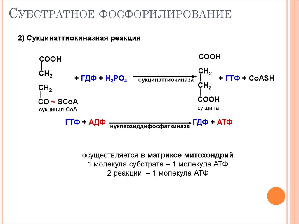 Атф синтезируется при окислении. Реакция субстратного фосфорилирования в ЦТК. Реакцию субстратного фосфорилирования катализирует:. Фермент катализирующий реакцию субстратного фосфорилирования. Реакция субстратного фосфорилирования в общем виде.