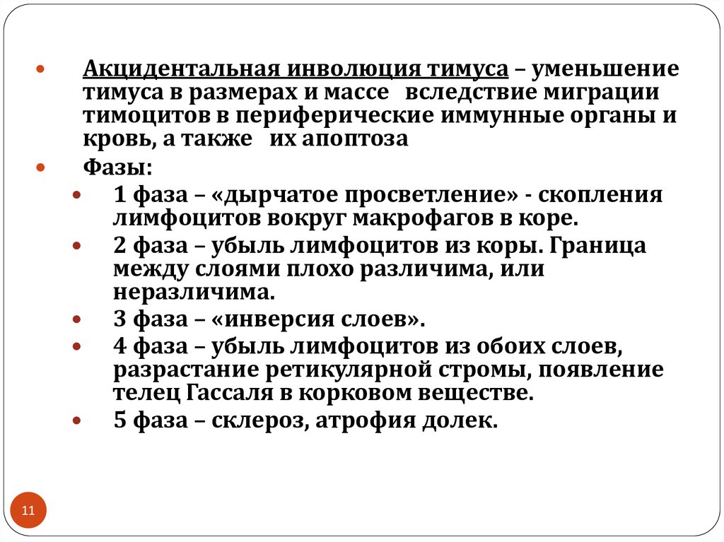 Инволюция это. Акцидентальная трансформация тимуса. Акцидентальная инволюция тимуса. Акцидентальная трансформация тимуса 2 стадия. Акцидентальная.