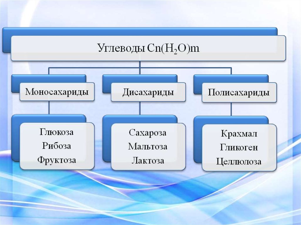 Вещества входящие в состав клетки. Углеводы моносахариды дисахариды полисахариды.