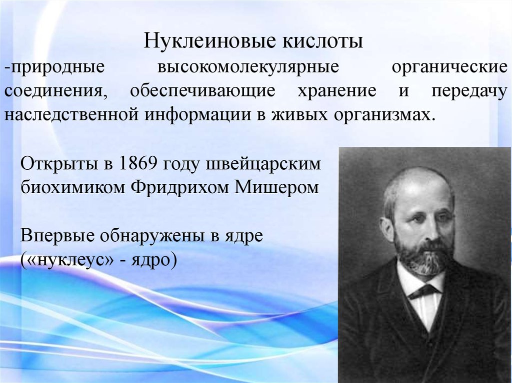 Мишер. Мишер открыл нуклеиновые кислоты. Нуклеиновые кислоты это высокомолекулярные органические соединения. Нуклеиновые кислоты открыты швейцарским биохимиком Мишером.