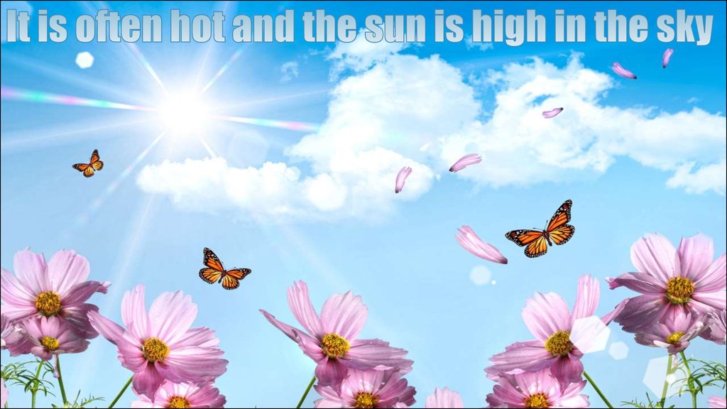 It is often hot and the sun is high in the sky
