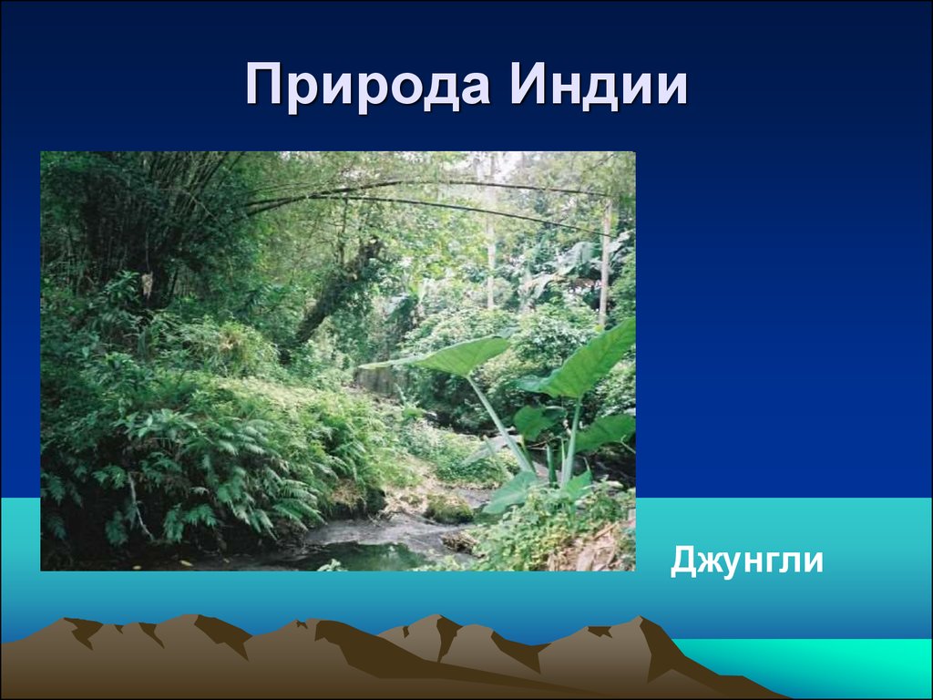 Природные условия древней индии 5 класс кратко