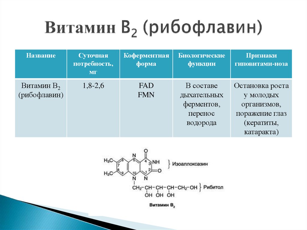 Функции второй группы. Витамин рибофлавин в2 входит в состав кофермента. Функции витамина в2 рибофлавин. Коферментные формы витаминов b2. Коферментная форма витамина в2 формула.