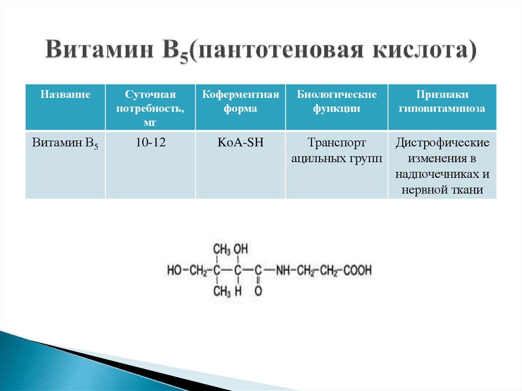 Витамин в5 презентация