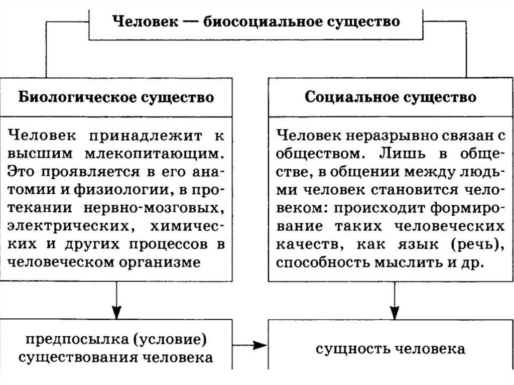 Биологическая природа человека. Человек как биологическое существо как социальное существо. Схема человек биосоциальное существо биологическое социальное. Социальная сущность человека таблица. Человек биологическое и социальное существо таблица.