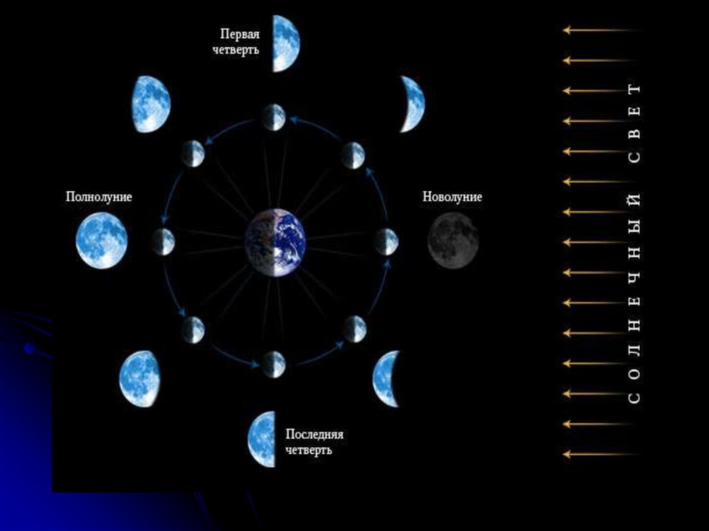 Луниум ру. Цикл лунных фаз. Положение Луны относительно земли и солнца. Полный цикл смены лунных фаз. Синодический период земли.