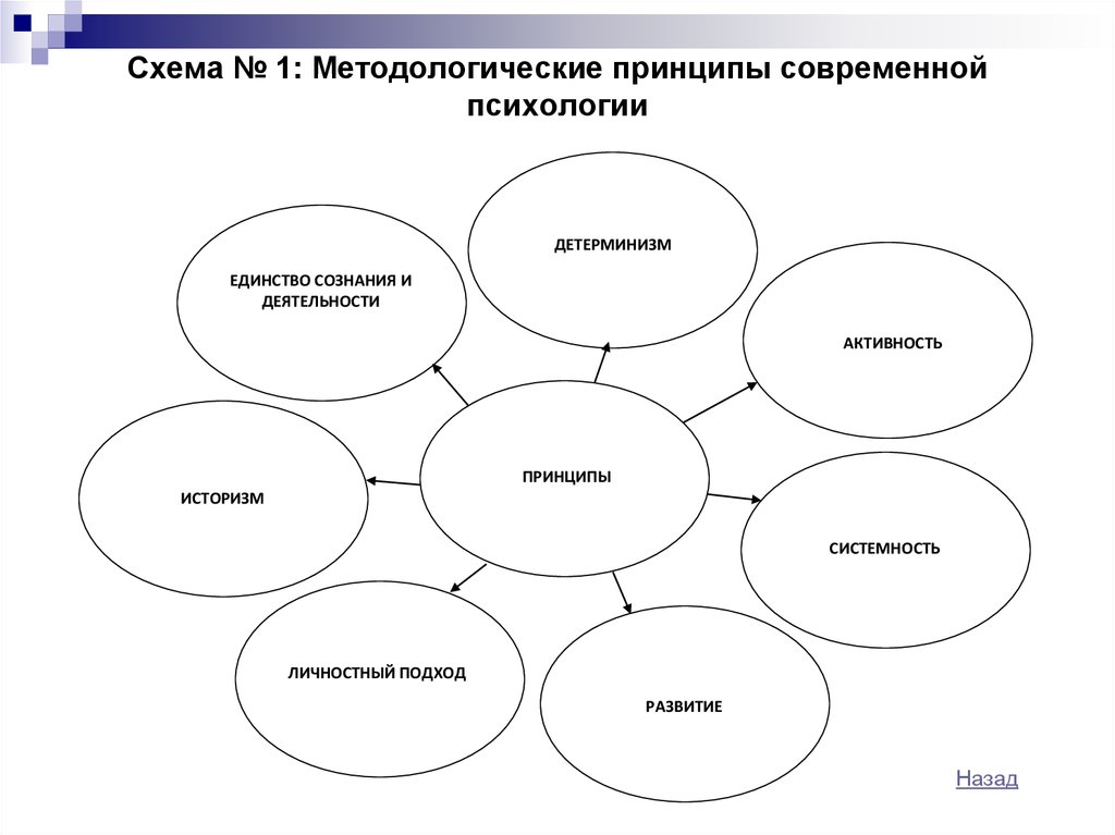 Общие психологические принципы