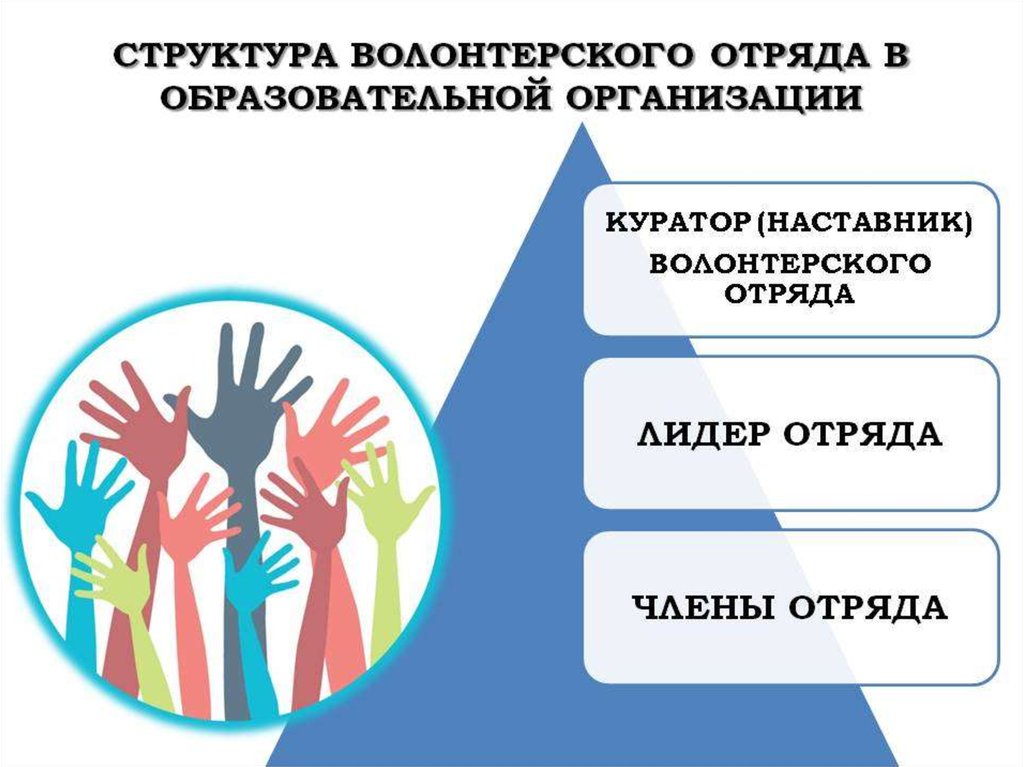 Организация работы с волонтерами