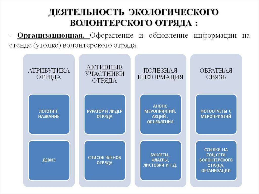 Направления волонтерской деятельности. Структура волонтерского отряда. Структура волонтерской организации. «Организация деятельности волонтеров». Основные формы работы волонтерского отряда.