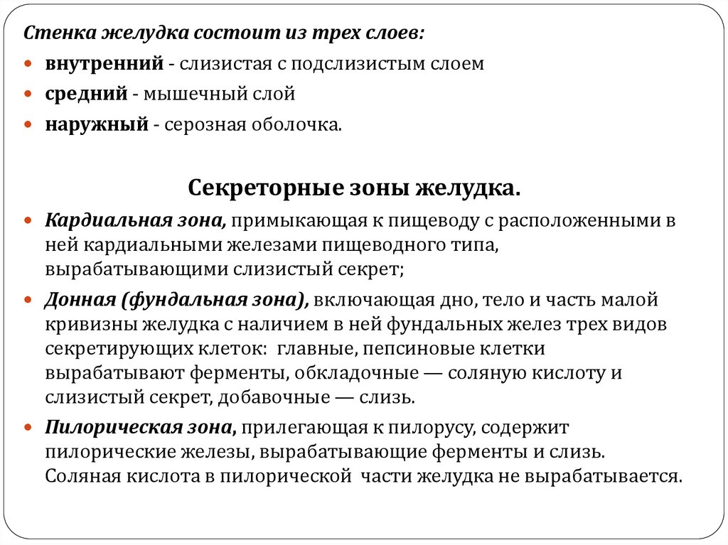 Стенки желудка ферменты. Слизь желудка состоит из. Какие ферменты вырабатывают железы желудка. Питание при подслизистом образовании желудка. Желудок состоит из слоев.