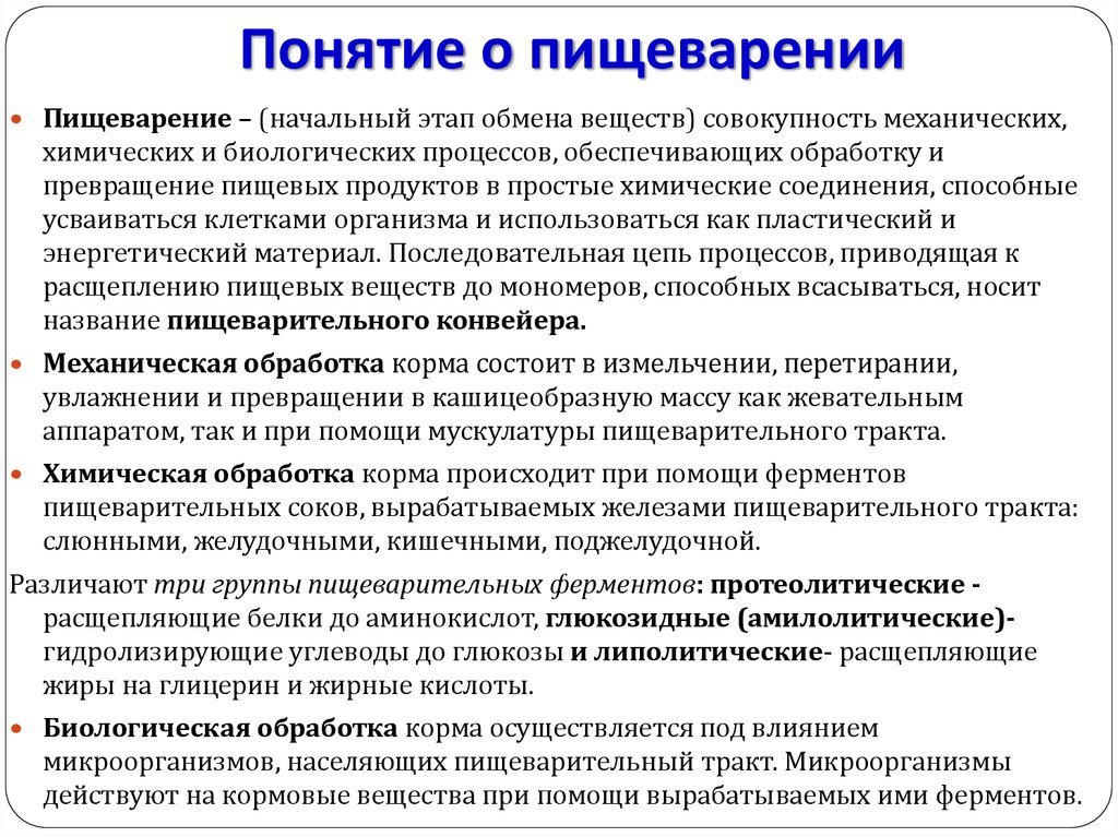 Совокупность процессов обработки. Понятие о процессе пищеварения. Понятие о пищеварении и его этапах. Система понятий пищеварение. Процесс пищеварения термин.