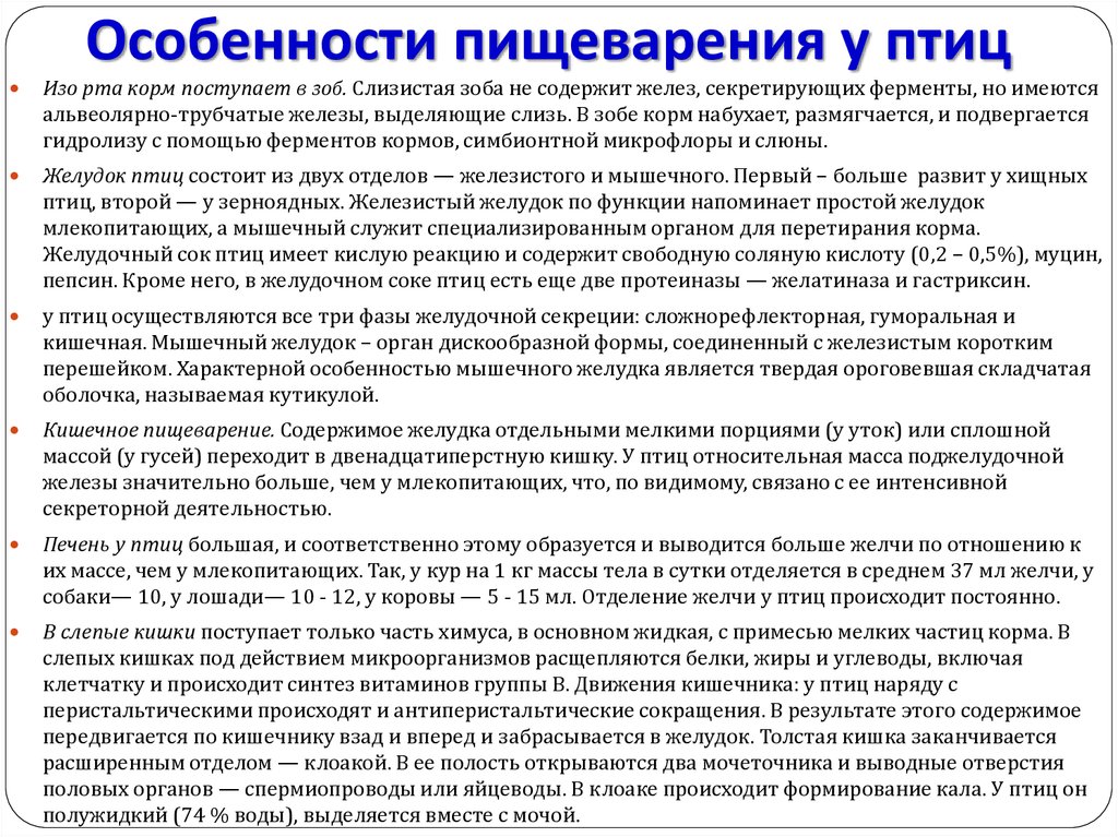 Особенности пищеварения. Особенности пищеварительной системы птиц. Характеристика пищеварительной системы птиц. Пищеварение птиц кратко.