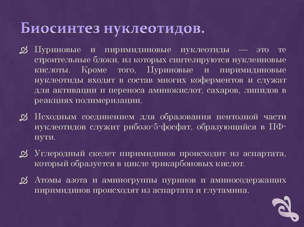 Состав многие. Регуляция синтеза пуриновых нуклеотидов. Особенности питания бактерий. Пуриновые и пиримидиновые основания.