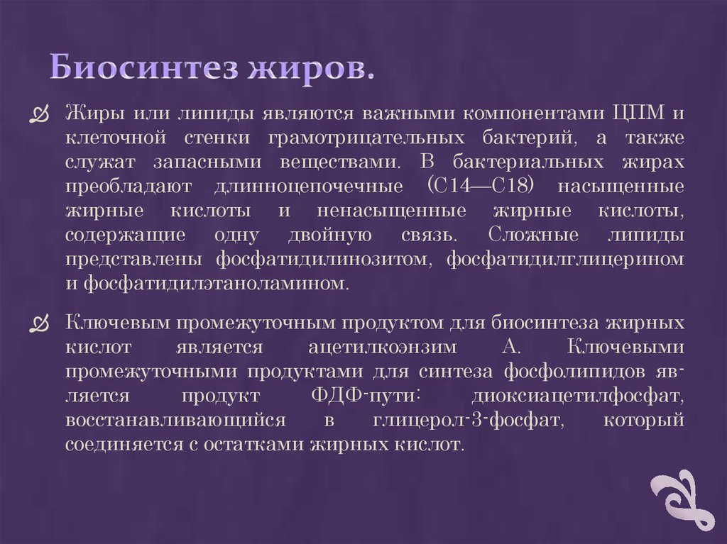 Биосинтез углеводов в организме проект