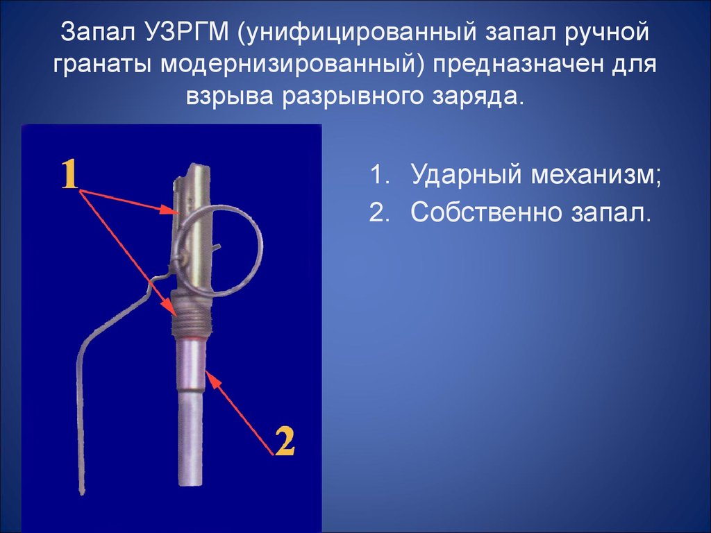 Запал гранаты. УЗРГМ-2 расшифровка характеристики. Детонатор УЗРГМ. Ударный механизм УЗРГМ гранаты предназначен. Унифицированный запал ручной гранаты.