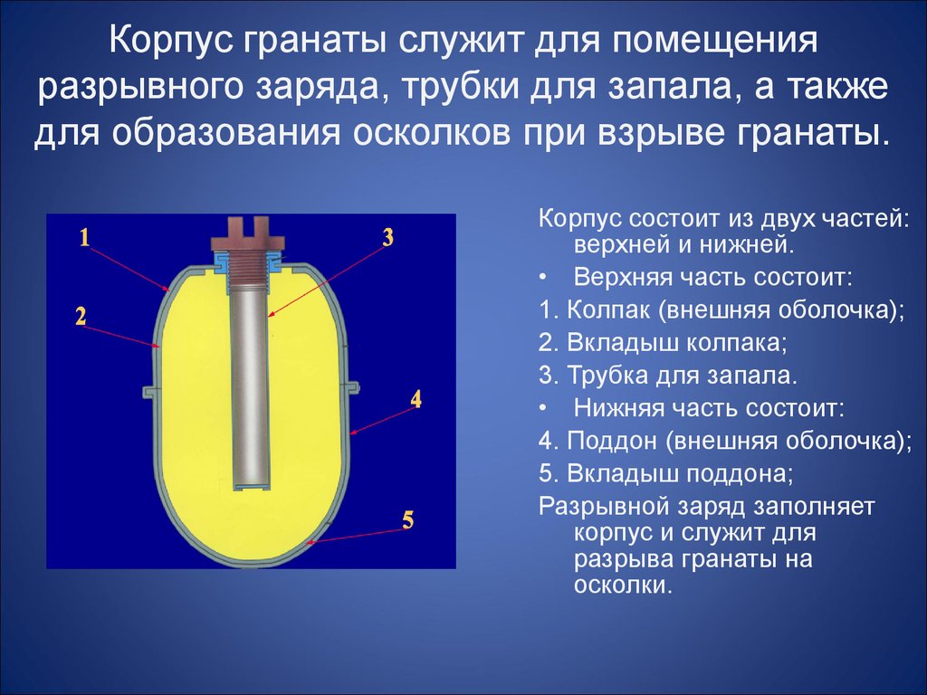 Корпус гранаты. Корпус гранаты служит для. Разрывной заряд гранаты. Корпус с трубкой для запала. Из чего состоит разрывной заряд гранаты.