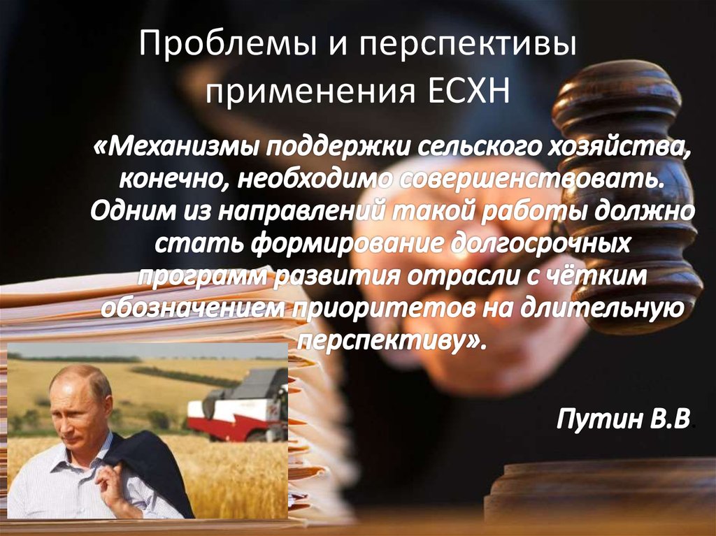 Проблемы и перспективы применения ЕСХН