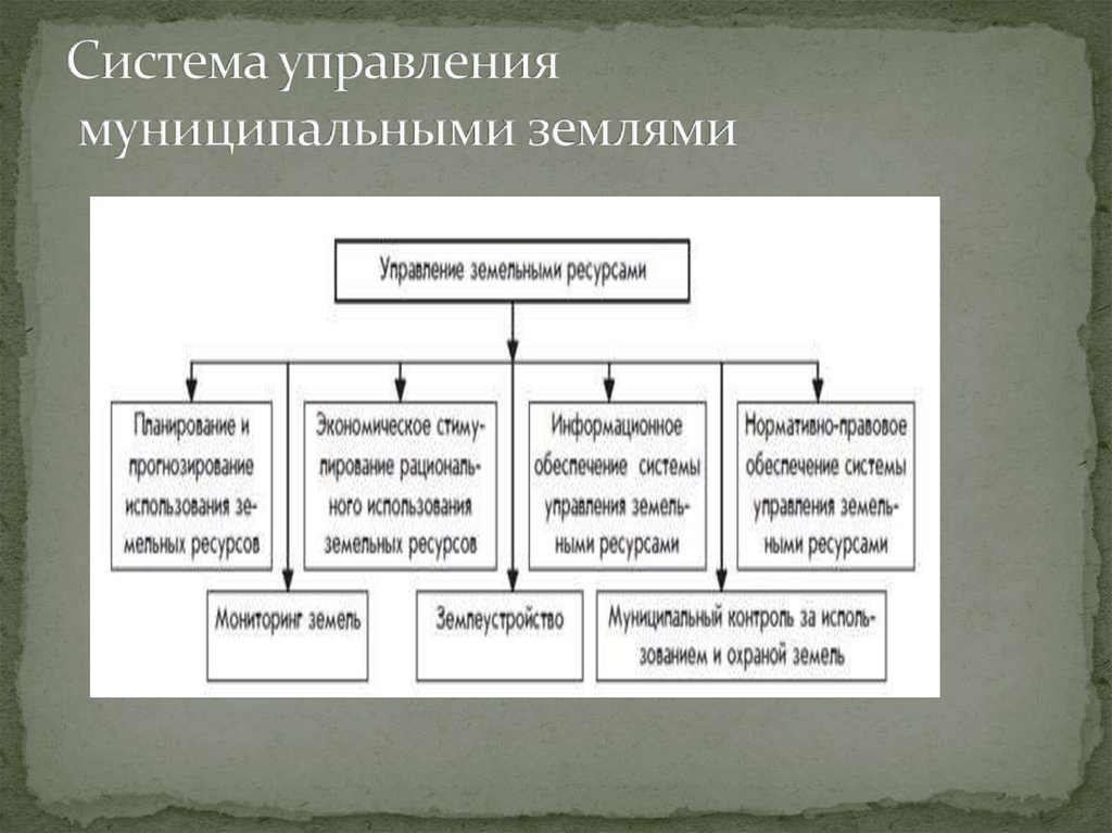 Управление муниципальными землями